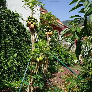 Casa Rural En Tenerife Güímar